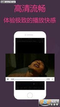 草莓视频成人版午夜,揭秘深夜娱乐新潮流