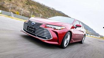 亚洲龙屏幕怎么播视频,亚洲龙屏幕视频播放指南